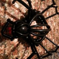 Spider_cont-bright_reduced.jpg